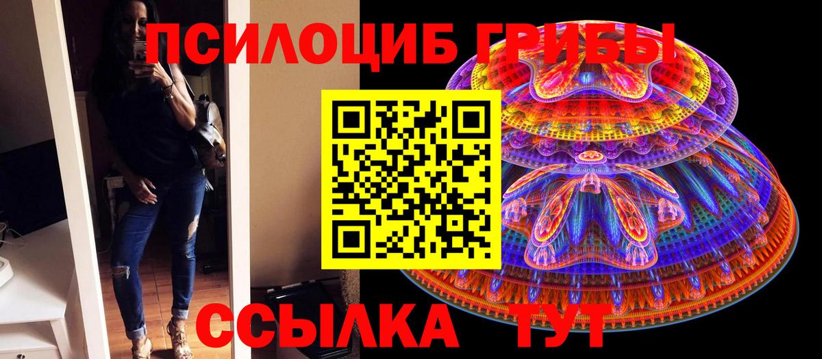 Сосновоборск  Галлюциногенные грибы Magic Shrooms  Вход с VPN 