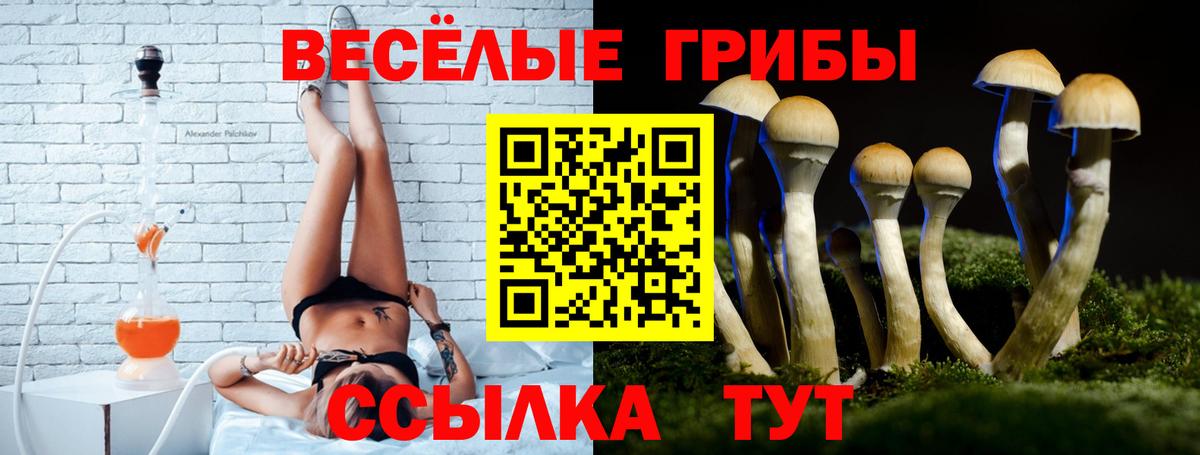 Галлюциногенные грибы GOLDEN TEACHER Сосновоборск